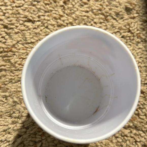 Muppets Ernie cup acrylic used - Picture 4 of 5